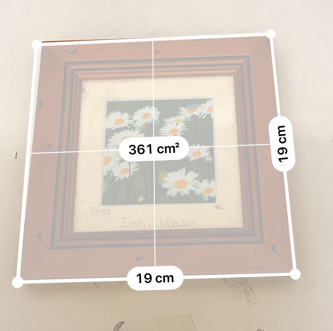 Rubynee Gold picture frames with art and flower design