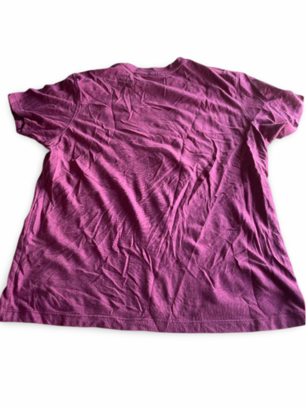 Vintage men's Russel athletic graded logo t shirt in burgundy in L| L27 W19| SKU 5360