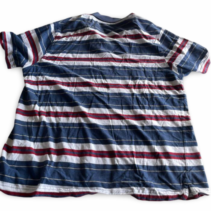 Vintage Polo Shirt Adult men's  Multi Blue Stripes in L |L29 W21| SKU 5369