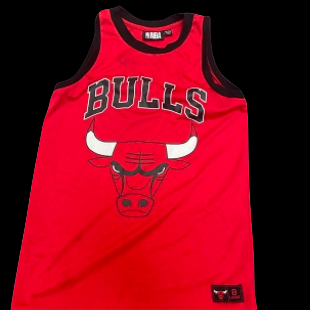 Vintage NBA Chicago Bulls Red Lavine 8 Vest