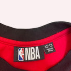 Vintage NBA Chicago Bulls Red Lavine 8 Vest