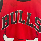 Vintage NBA Chicago Bulls Red Lavine 8 Vest