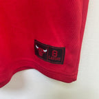 Vintage NBA Chicago Bulls Red Lavine 8 Vest