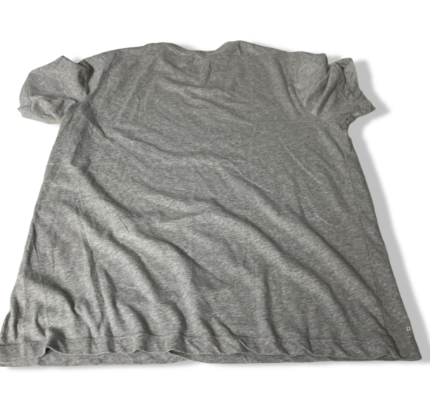 Vintage men's Nike Dri-FIT Futura Graphic grey short sleeve T-Shirt in L|L29W21|SKU 5466