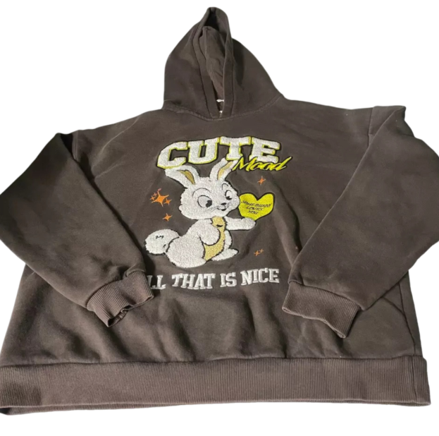 Vintage female Bershka Bunny graphics Brown Hoodie in S|L24 W23|SKU 6092