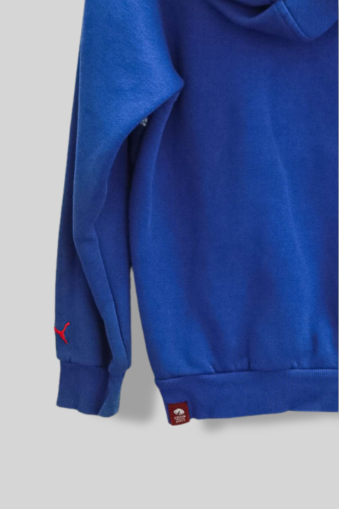 Vintage small blue puma graphics hoodie