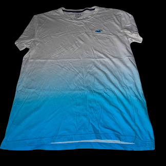 Vintage Hollister co white and blue short sleeve tees XS