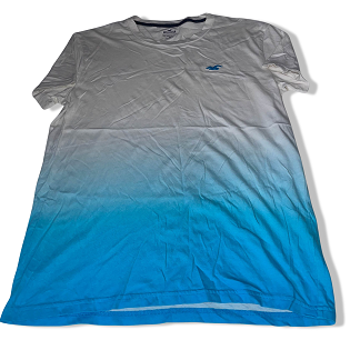 Vintage Hollister co white and blue short sleeve tees XS