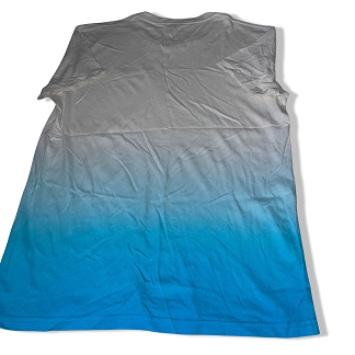 Vintage Hollister co white and blue short sleeve tees XS