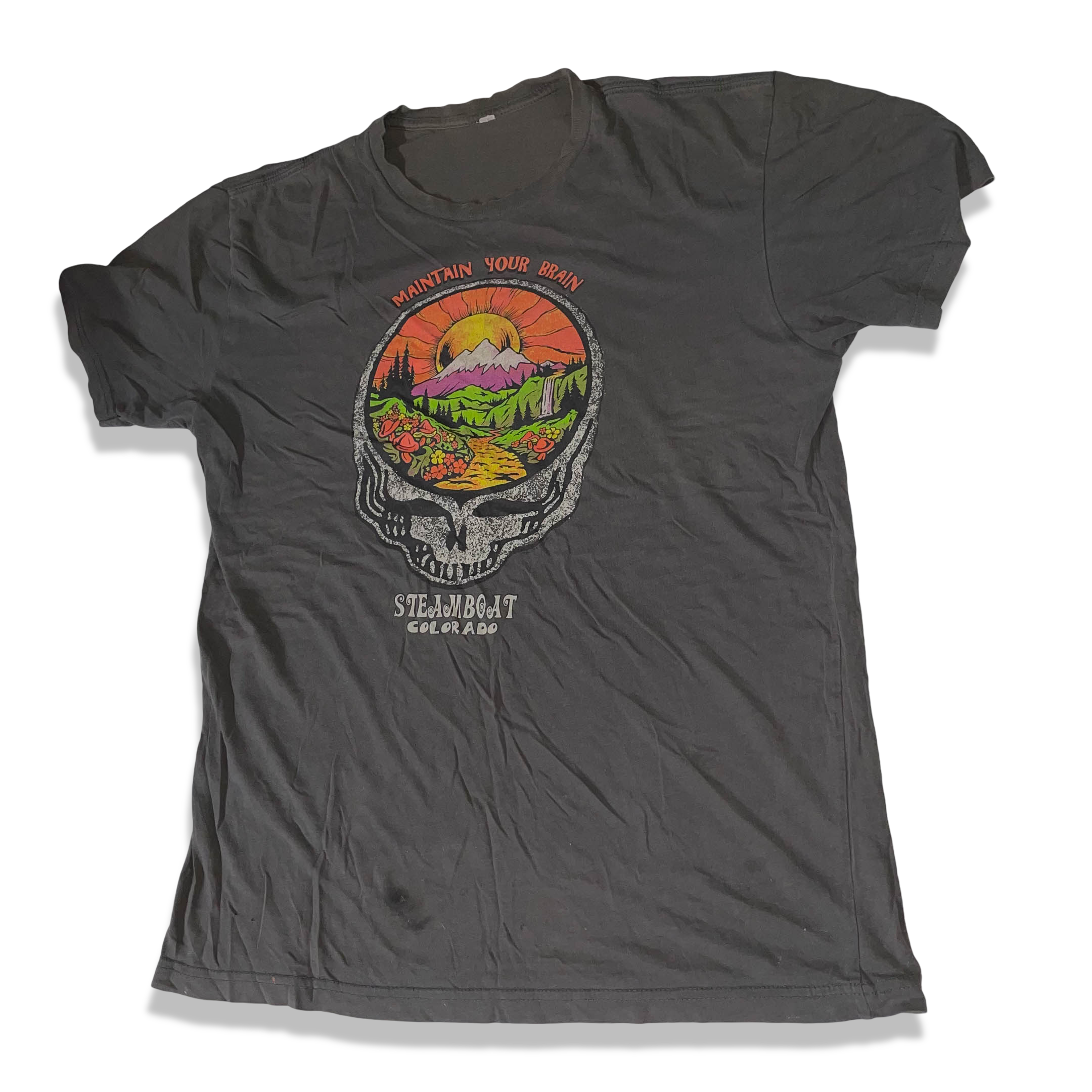 Vintage men's dark grey maintain your brain steam boat colorado tees in M