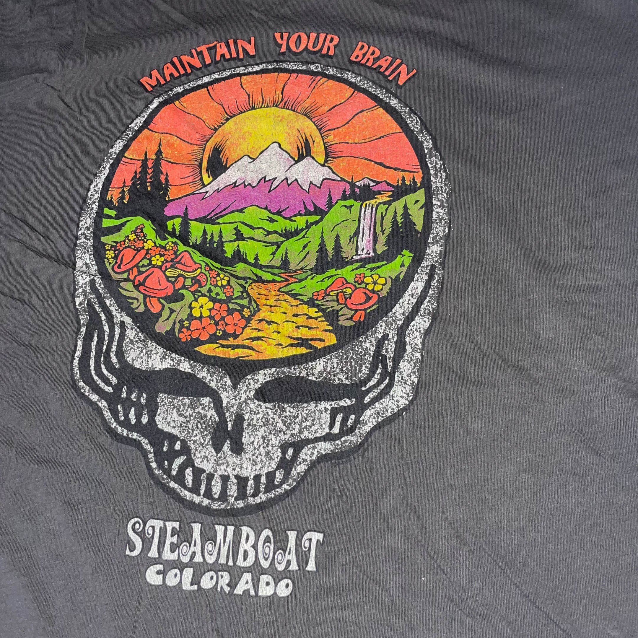 Vintage men's dark grey maintain your brain steam boat colorado tees in M