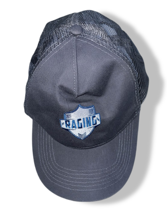 Vintage Beechfield Original Raging crest grey trucker cap| SKU 4877