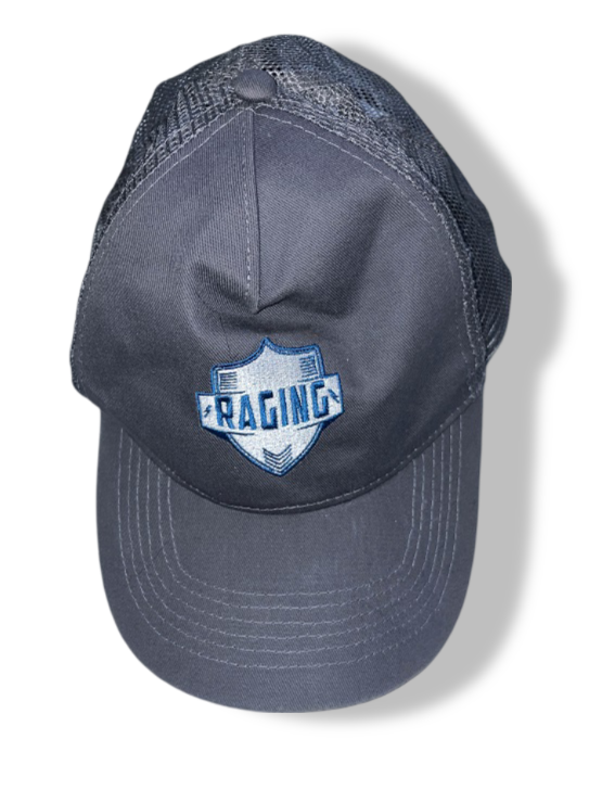 Vintage Beechfield Original Raging crest grey trucker cap| SKU 4877