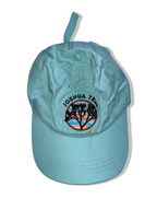 Vintage Joshua tree grand canyon apparel blue baseball cap| SKU 4998