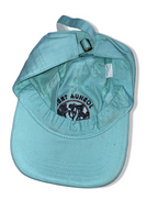 Vintage Joshua tree grand canyon apparel blue baseball cap| SKU 4998