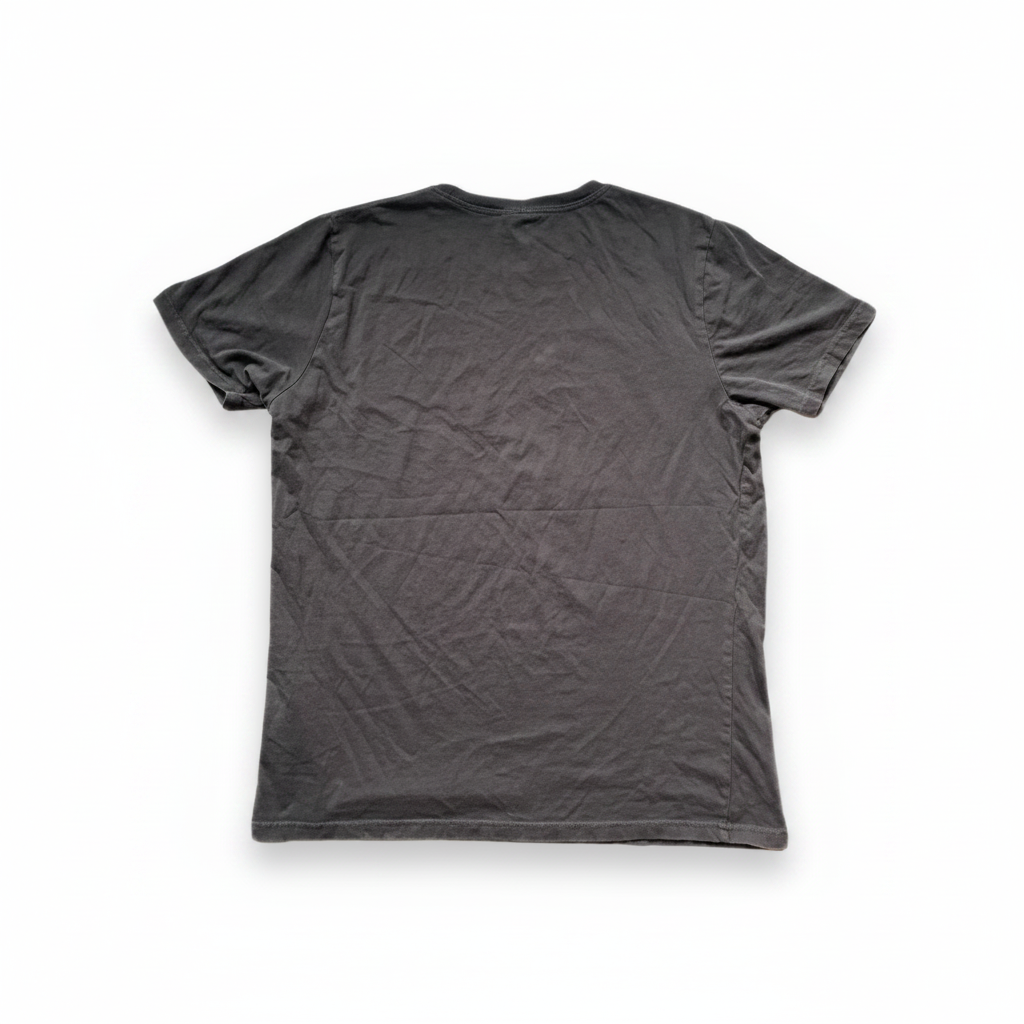 Rubynee Vintage y2k regular fit grey tshirt